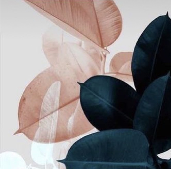 I Sometimes Accept Less Than I deserve