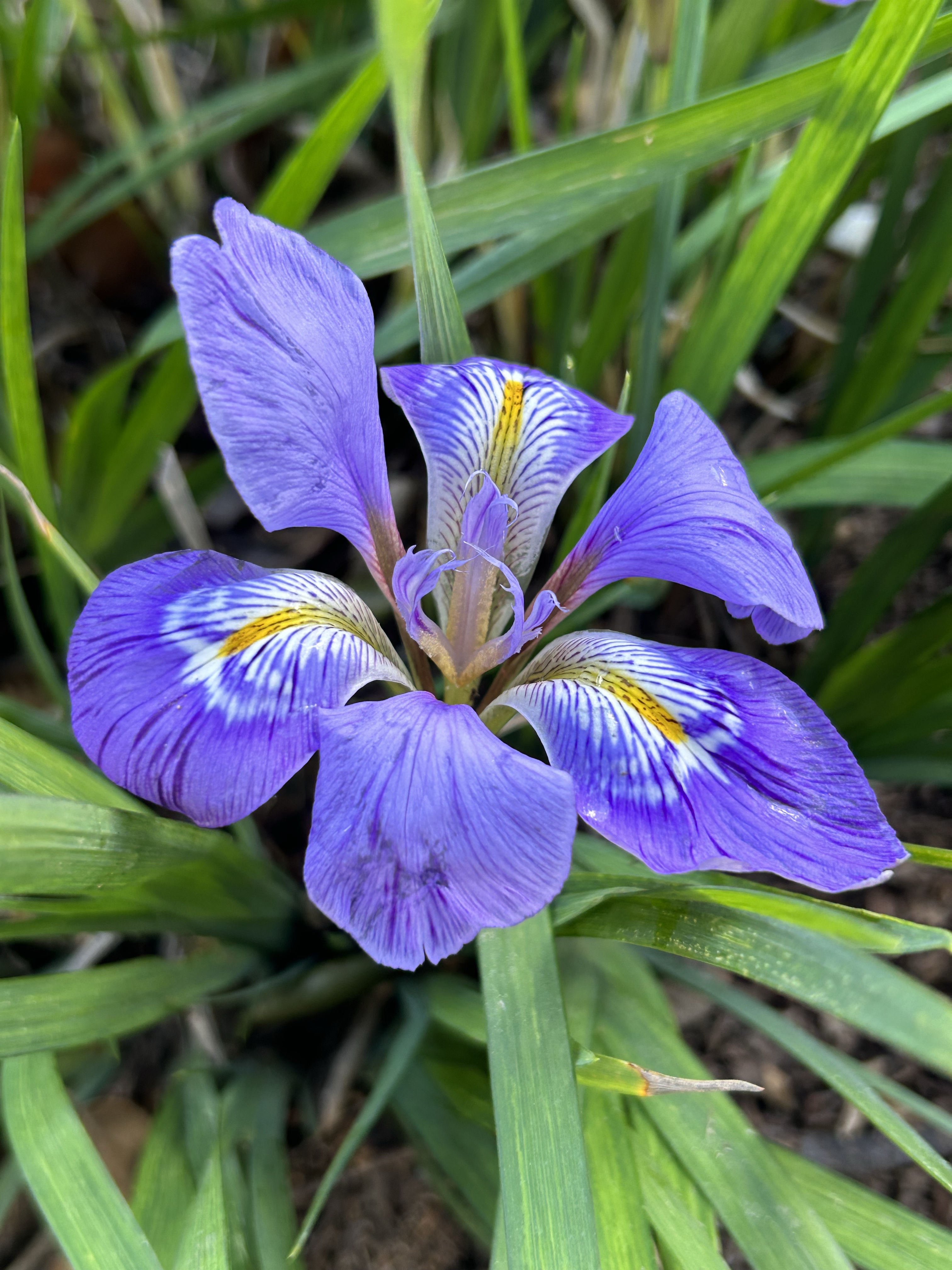 Coping with Depression Isolation as an Introvert: Strategies for Self-Care