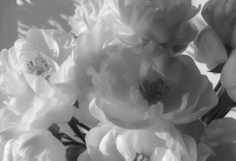 Days I Feel Like I had Enough