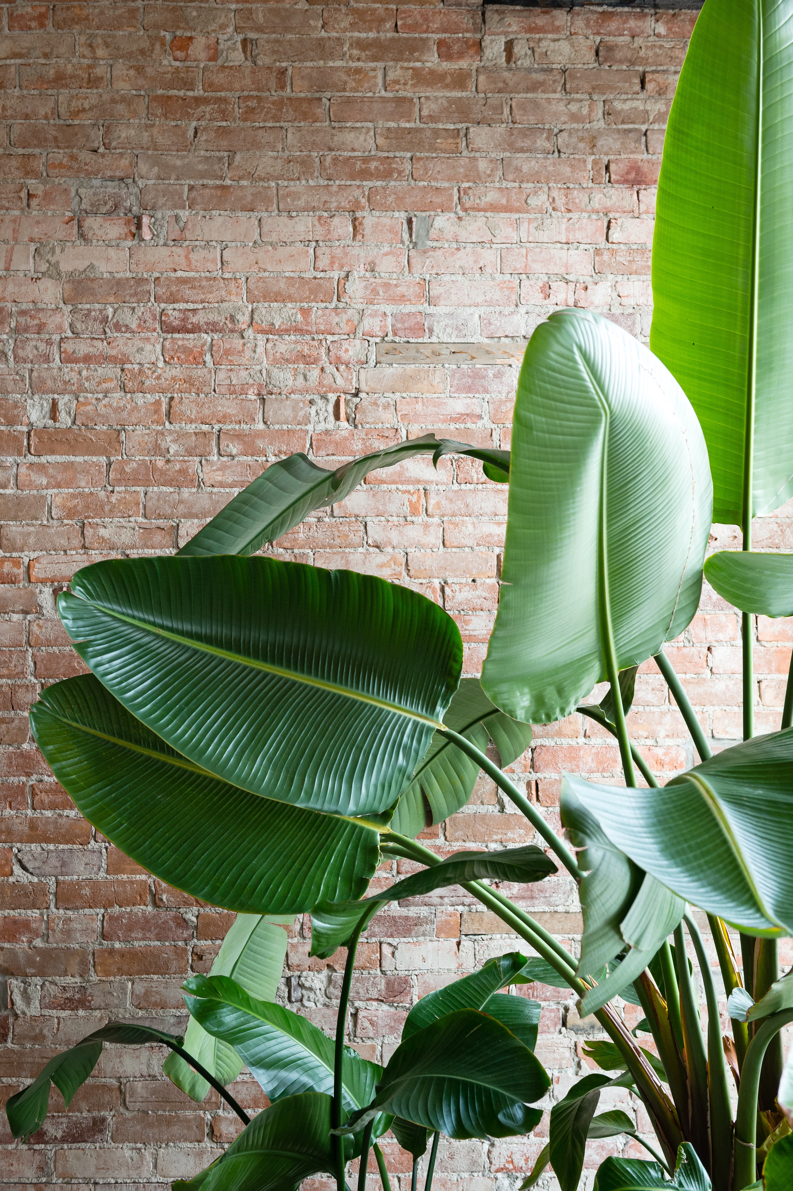 Suicide Awareness Fundraiser