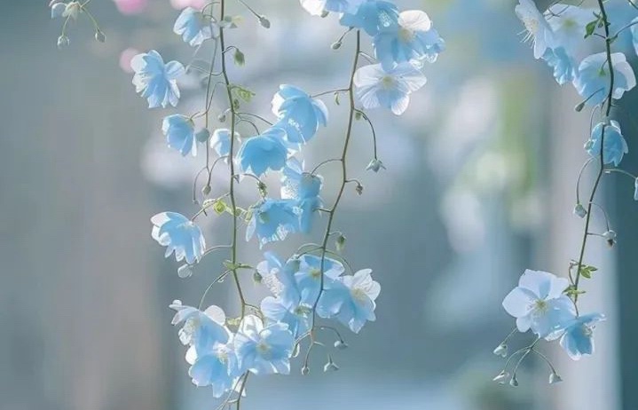 When Growing Up Without Your Mother is Stigmatized