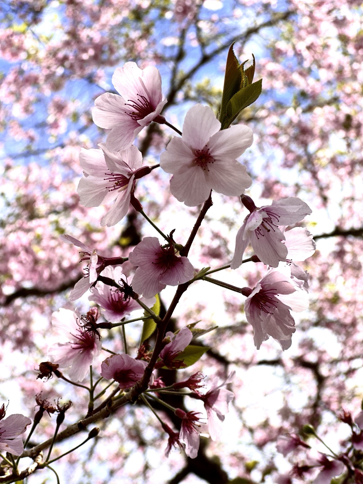 Mother’s Day Hits Differently When I Never Really Had One