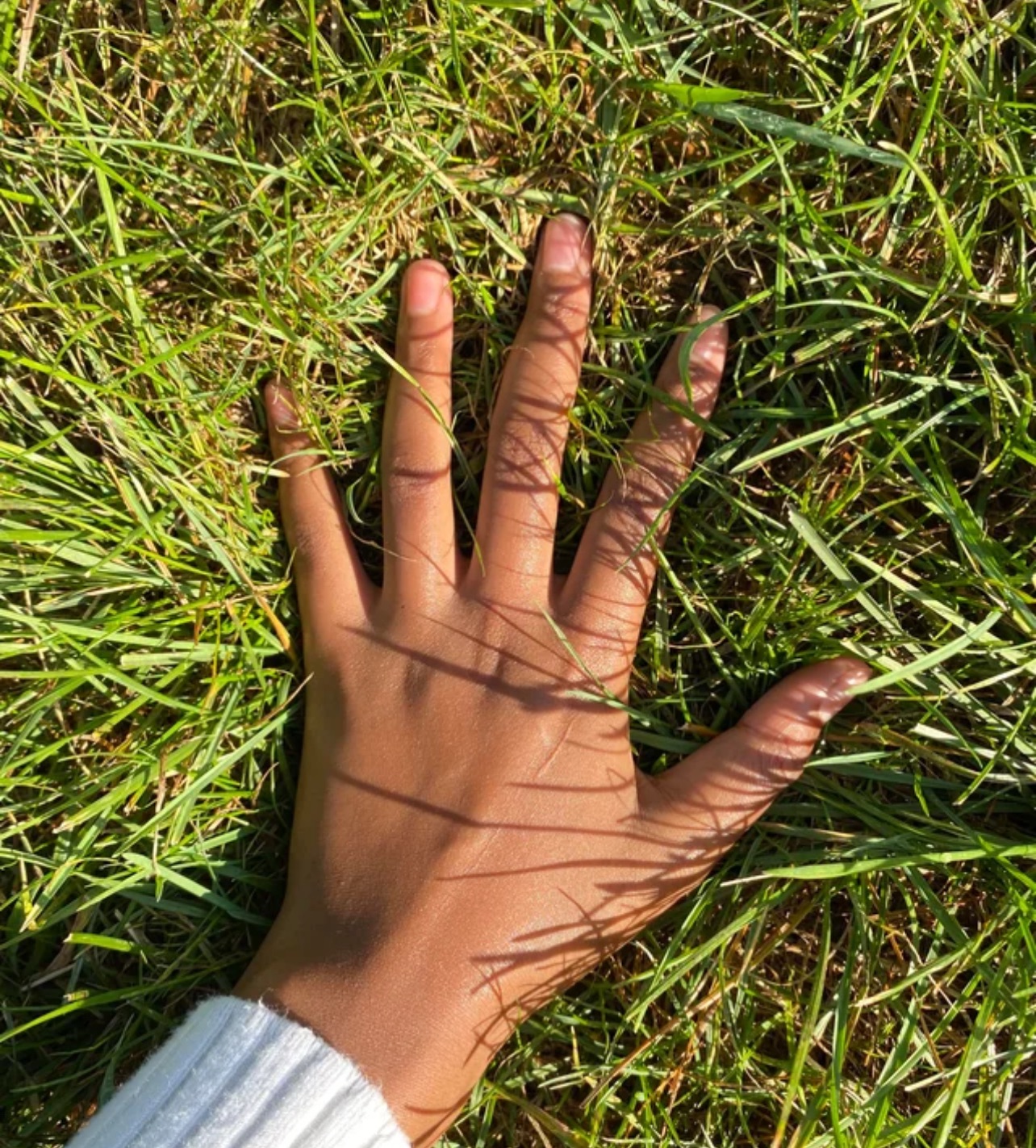 Random Thoughts of An Introvert Pt 1.